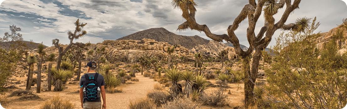 3-day family relaxing in Palm Springs, CA