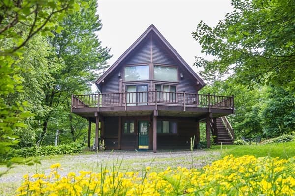 Cottage in the Woods