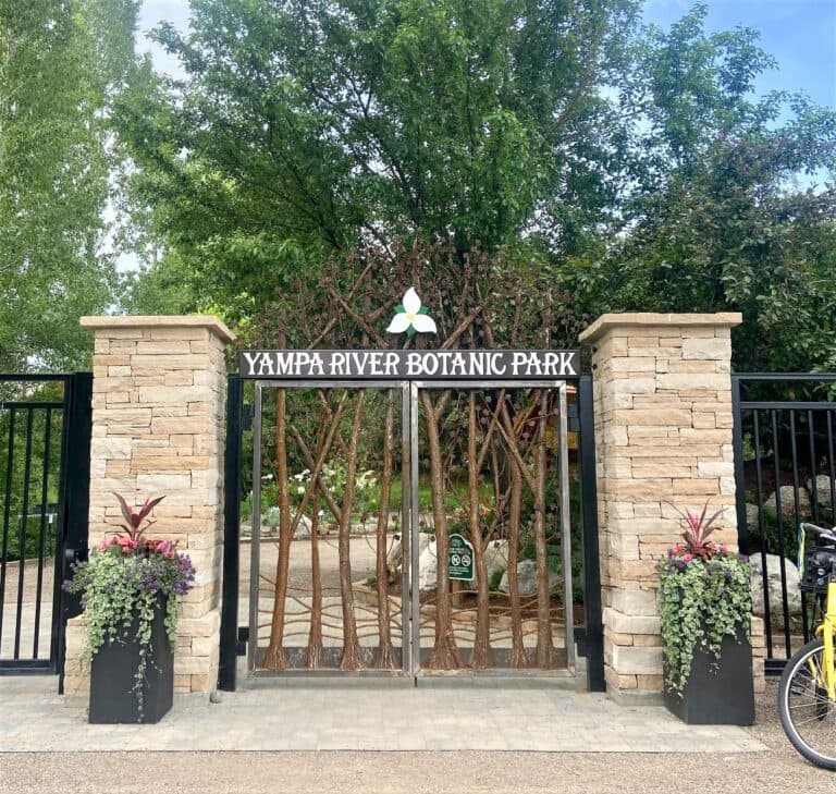 Main display