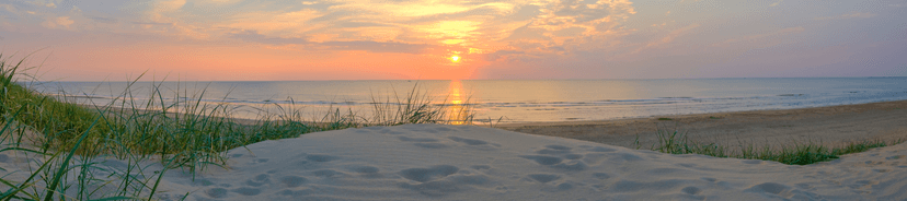 Top stays in Anna Maria Island, FL
